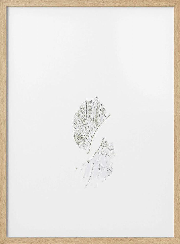 Minimal leaves | Poster