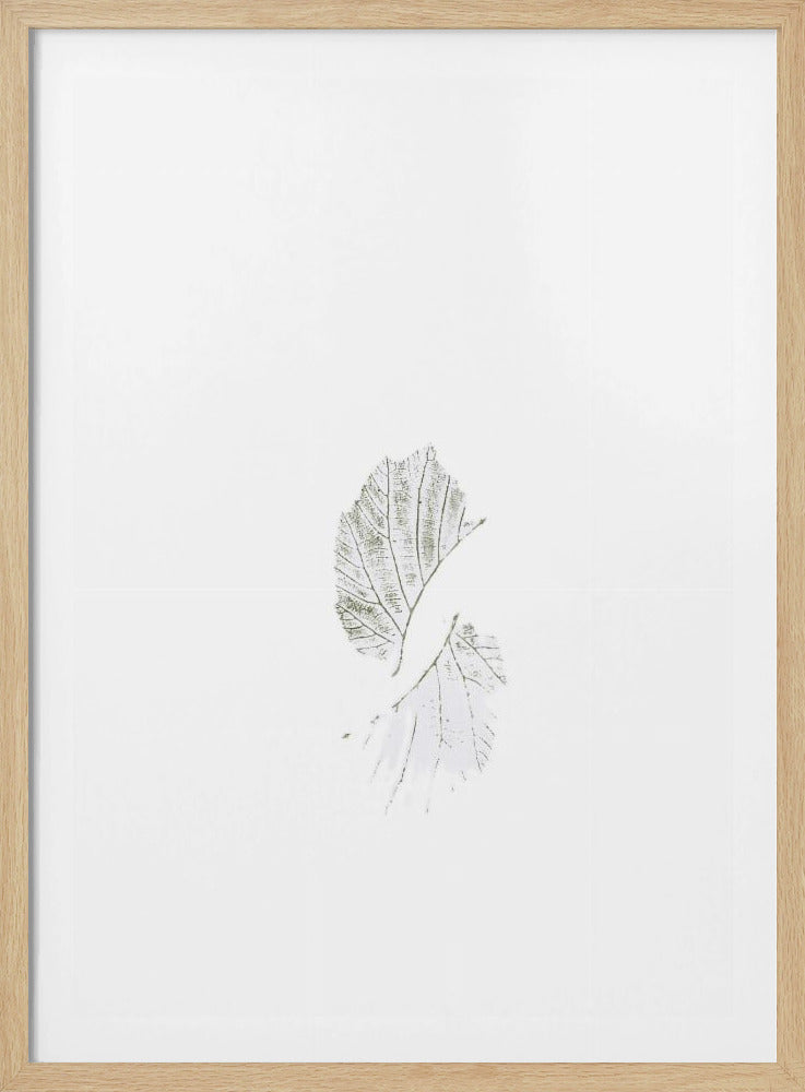 Minimal leaves | Poster
