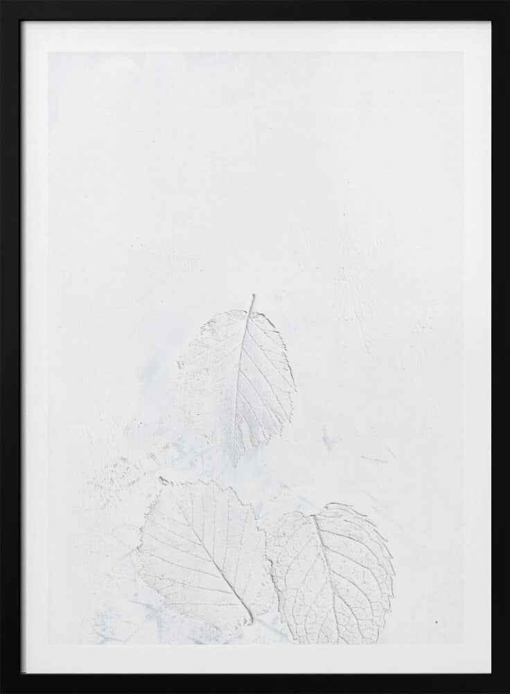 Minimal leaves | Poster