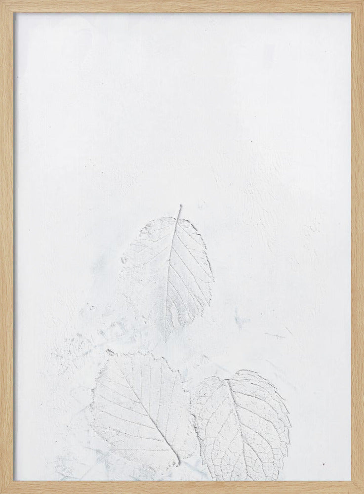 Minimal leaves | Poster