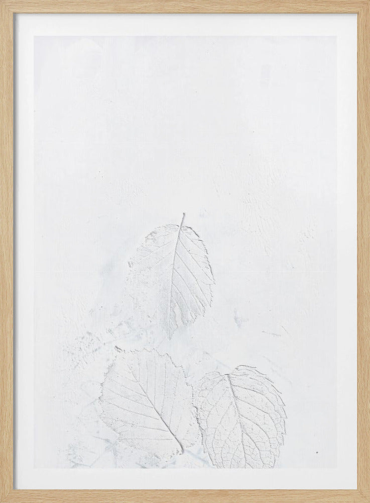 Minimal leaves | Poster