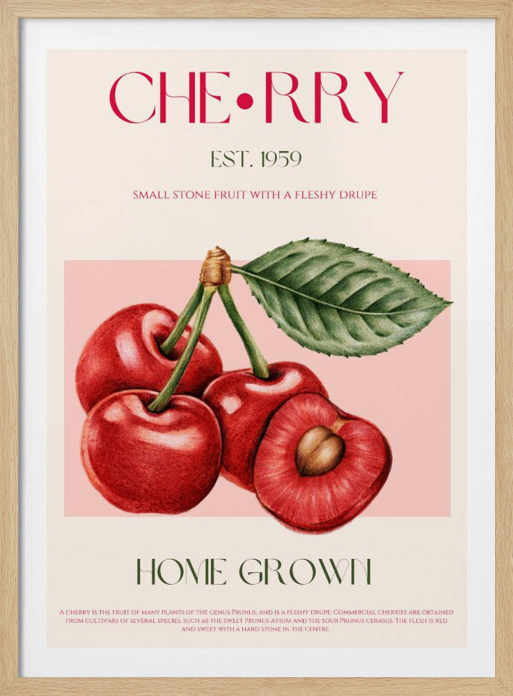 Sweet Red Cherries | Poster
