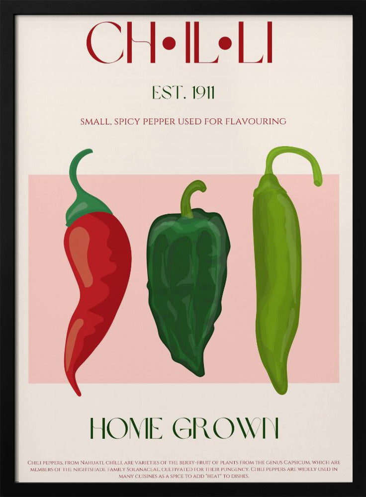 Spicy Trio Display | Poster