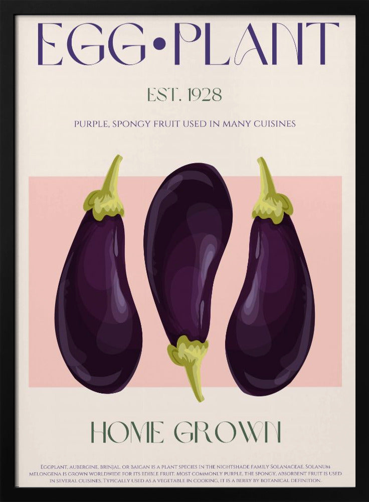 Three Vibrant Purple Eggplants | Poster