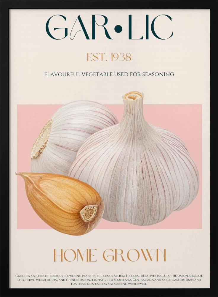 Garlic Essence | Poster