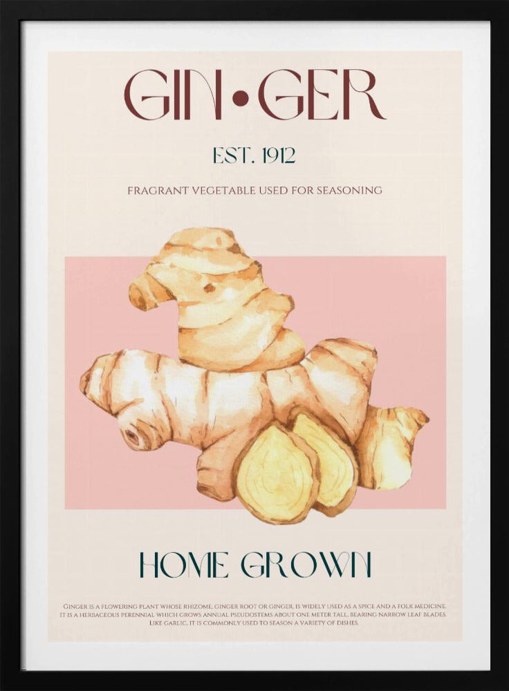 Watercolor illustration Of Ginger | Poster