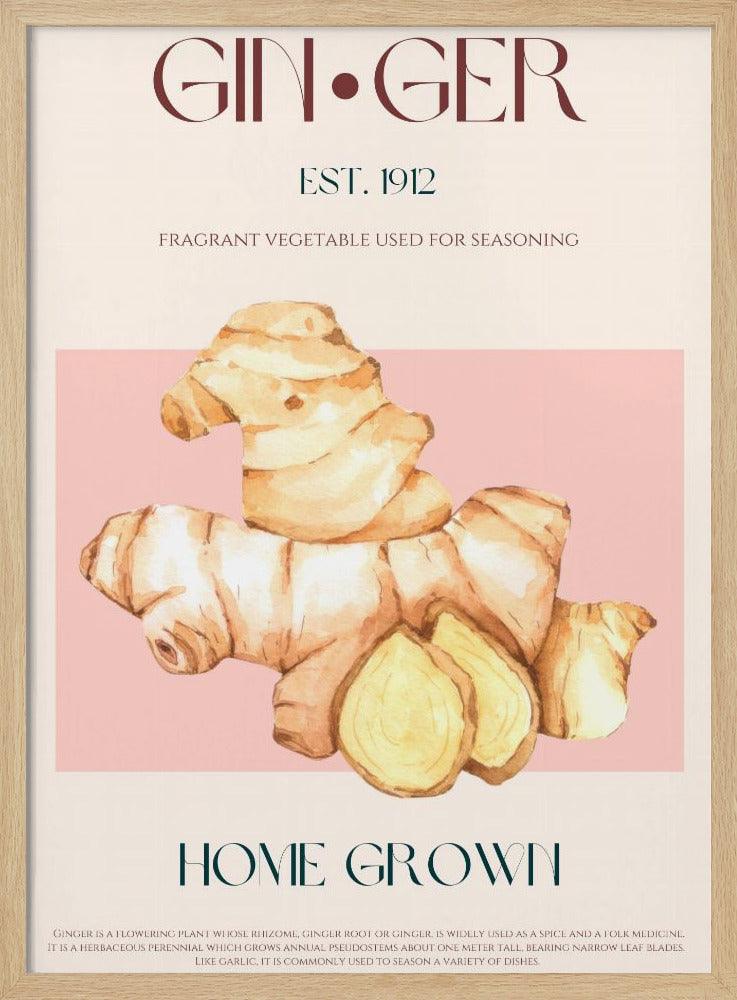 Watercolor illustration Of Ginger | Poster