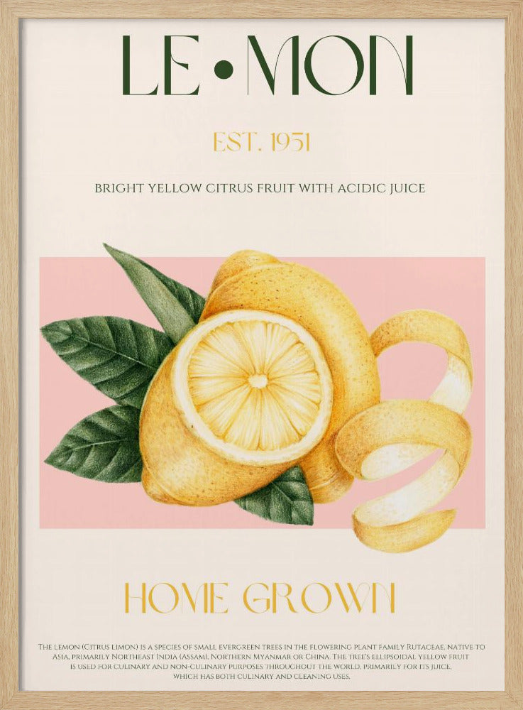 Vintage Style Sliced Lemon With Leaves | Poster