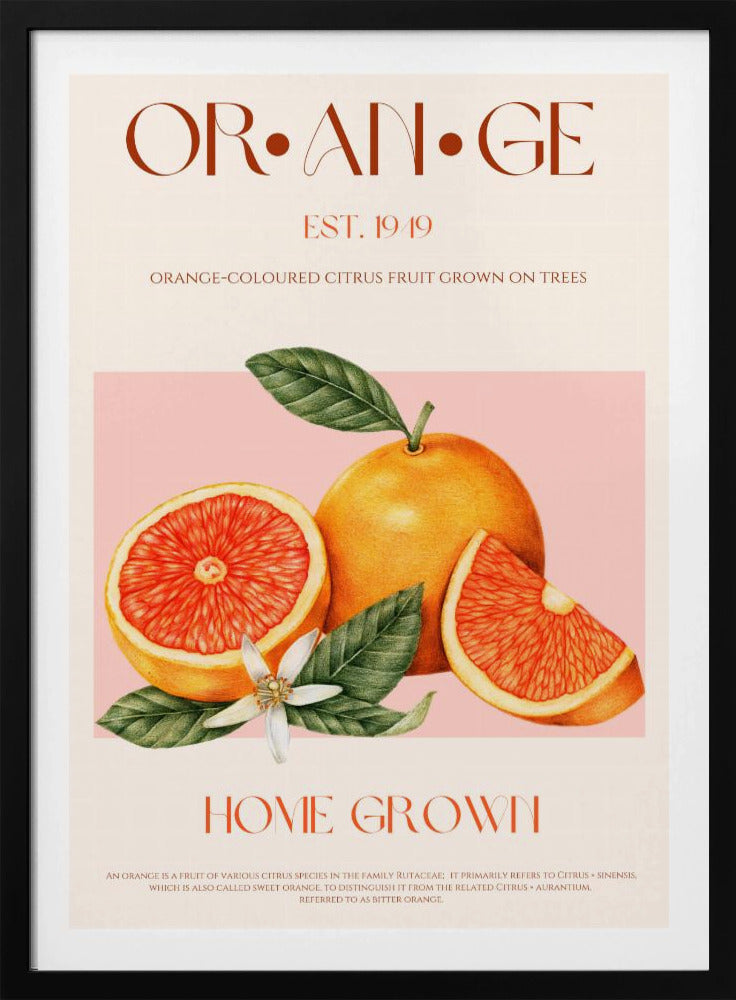 Vintage-themed With Vibrant Oranges | Poster