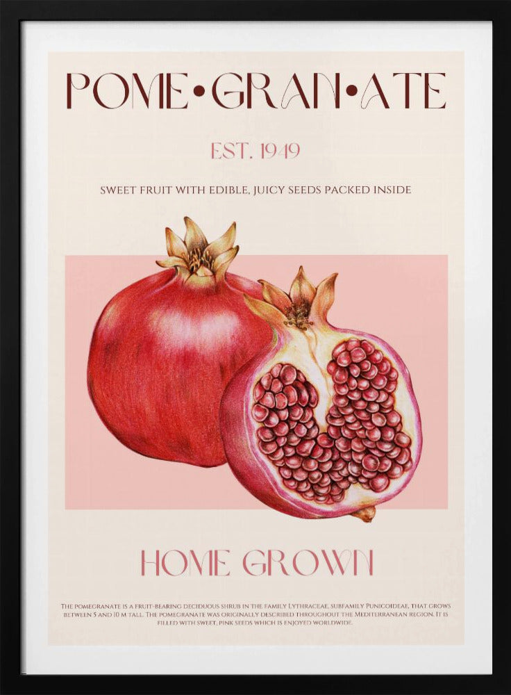 Juicy Pomegranate | Poster