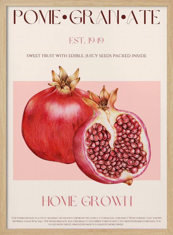 Juicy Pomegranate | Poster