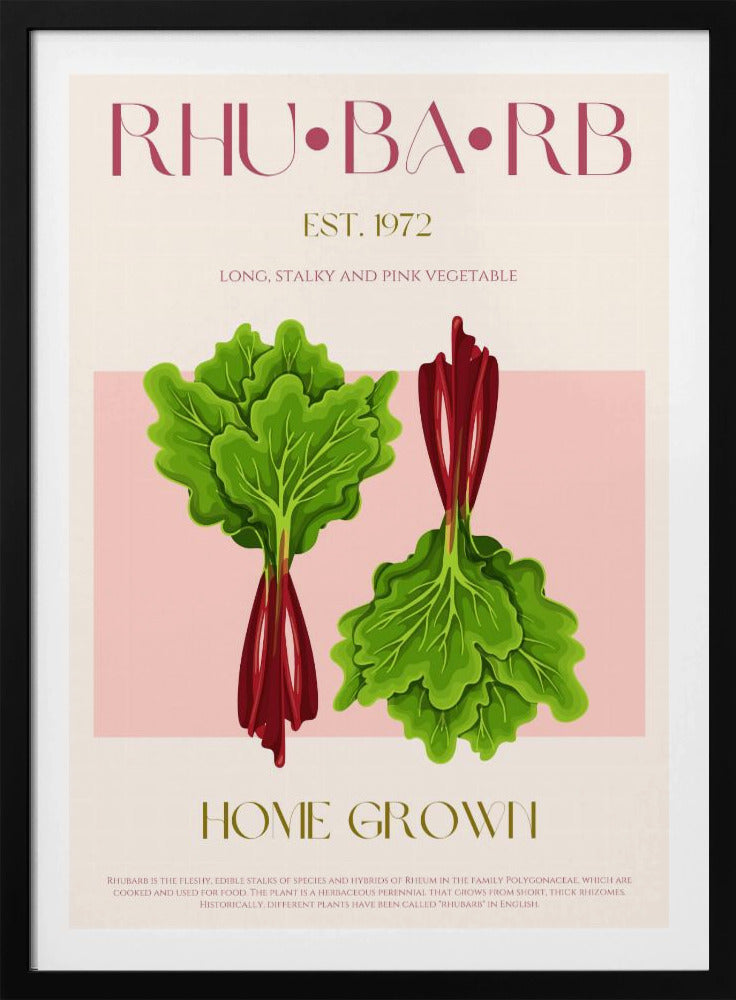 Illustrated Rhubarb With Vibrant Pink Stalks | Poster