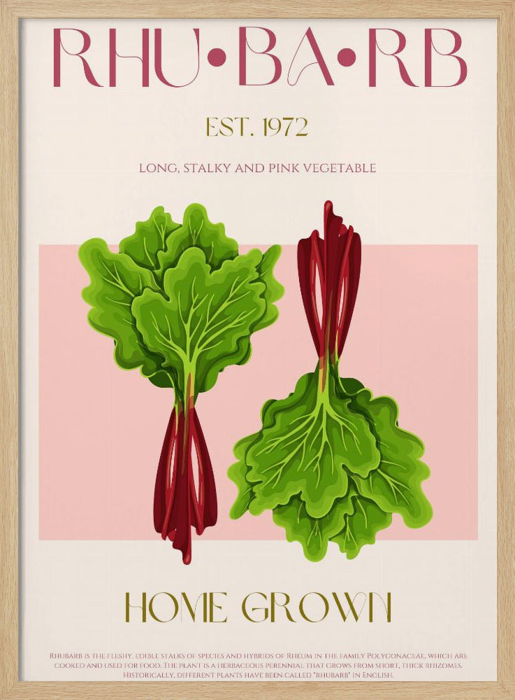 Illustrated Rhubarb With Vibrant Pink Stalks | Poster