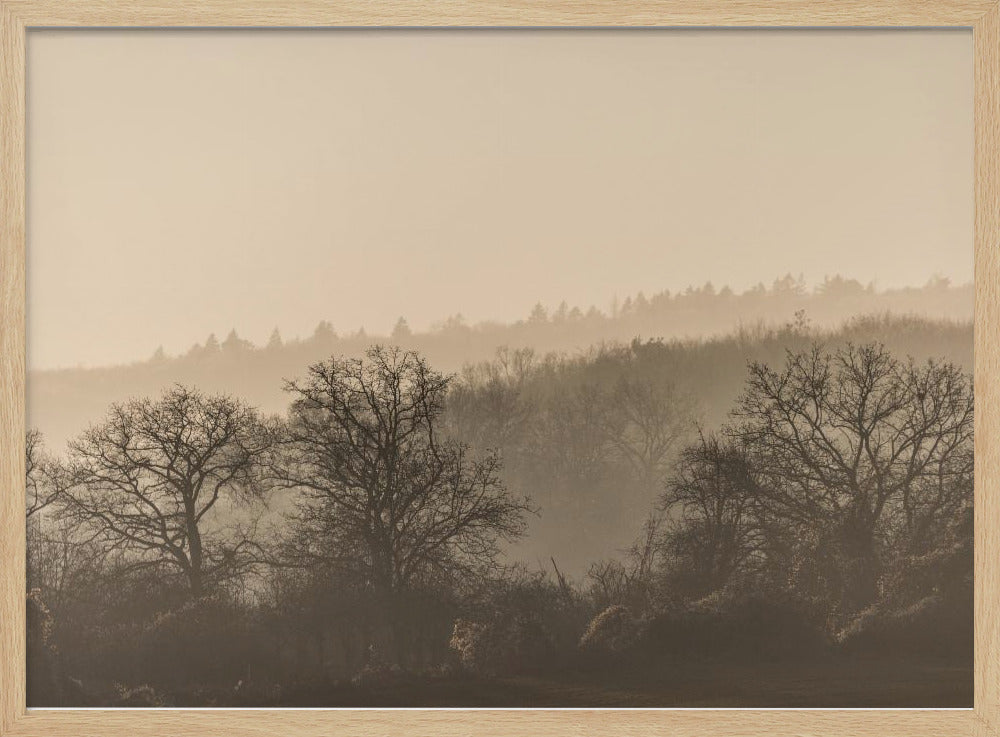 Fading Horizons 7 | Poster