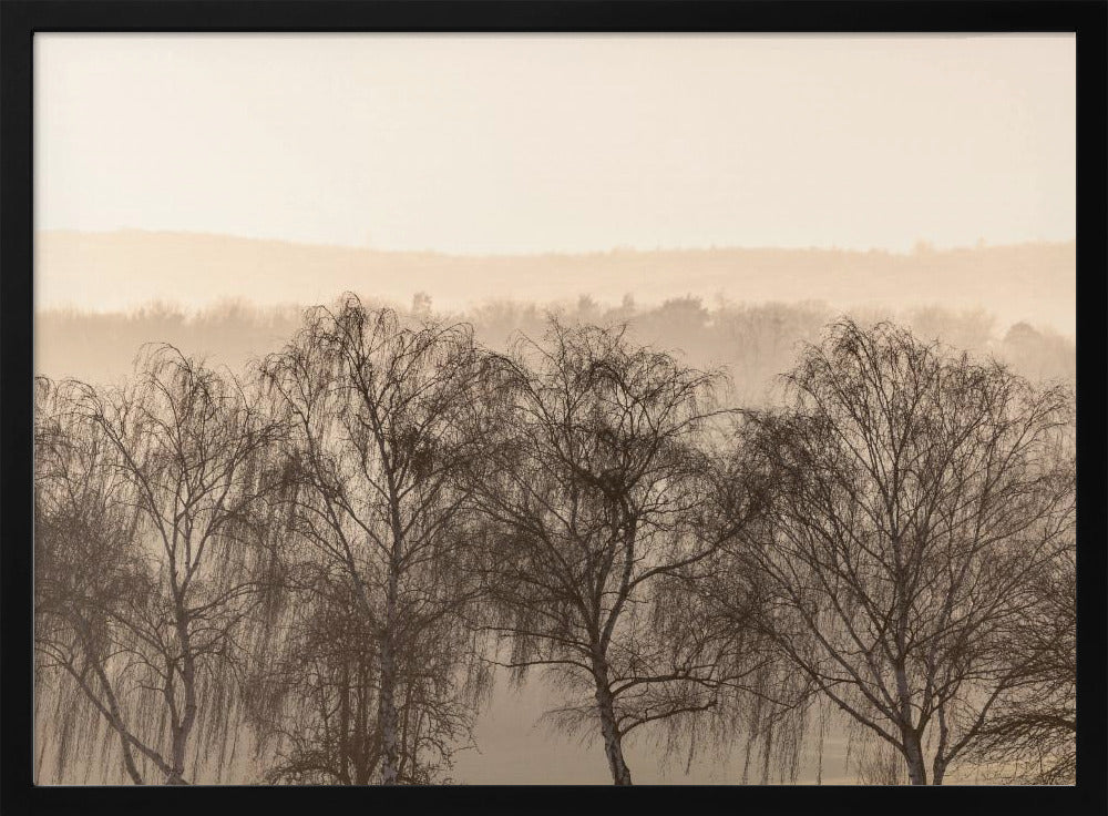 Fading Horizons 1 | Poster