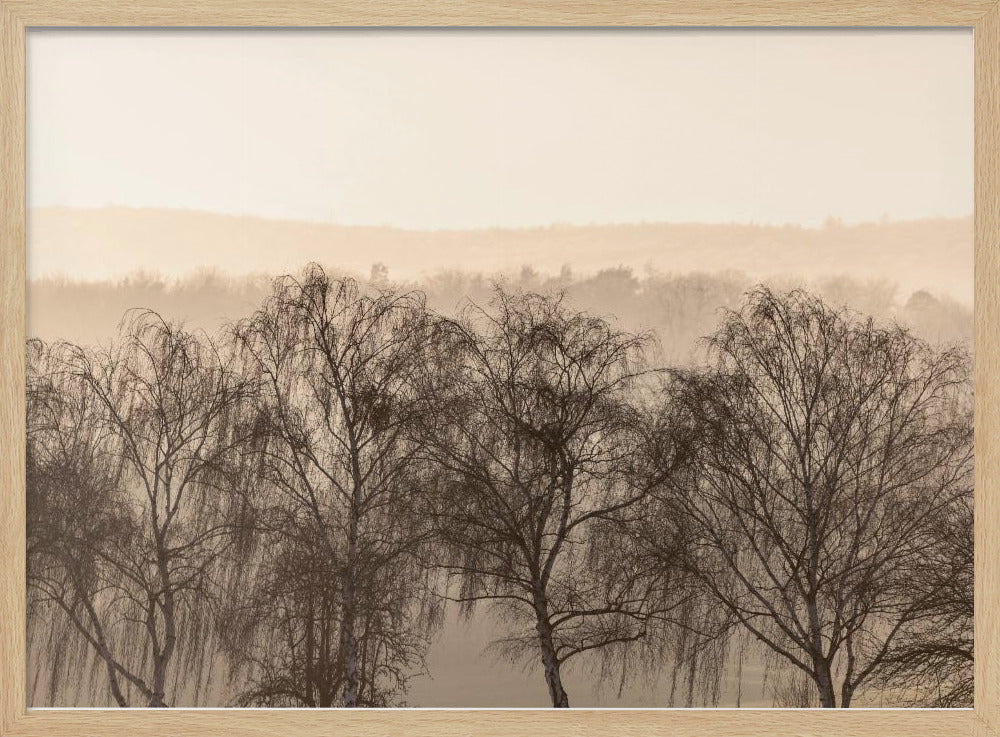 Fading Horizons 1 | Poster