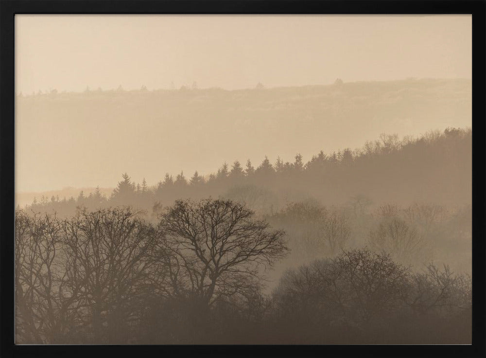 Fading Horizons 6 | Poster