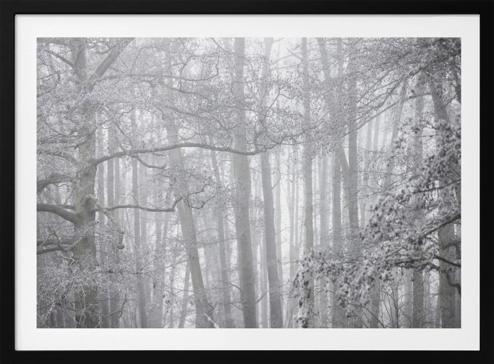 Foggy Winter Morning 2 | Poster