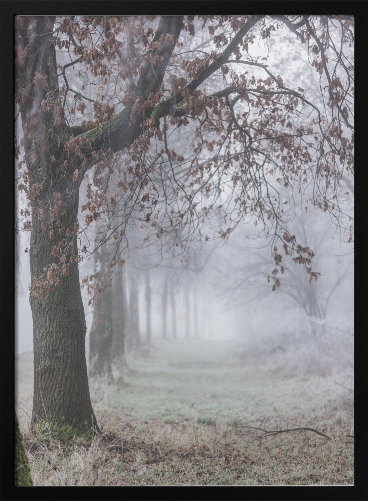 Foggy Winter Morning 3 | Poster