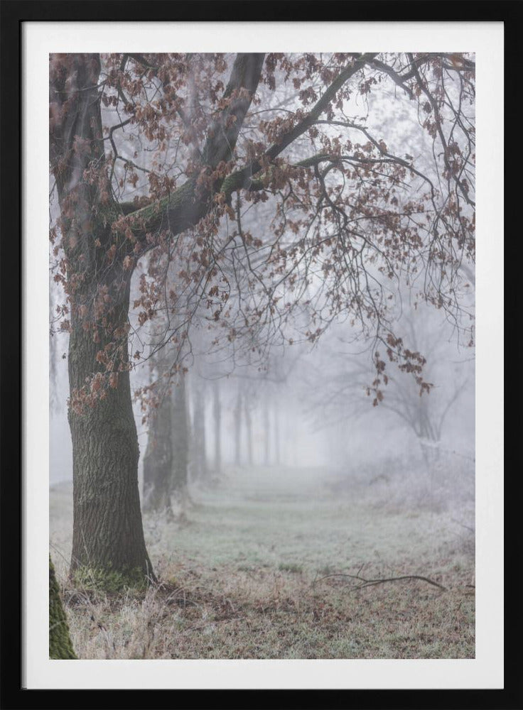 Foggy Winter Morning 3 | Poster
