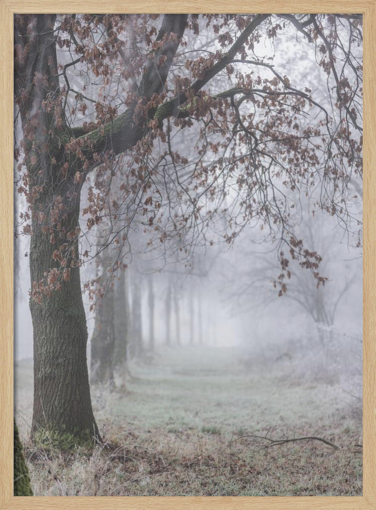Foggy Winter Morning 3 | Poster