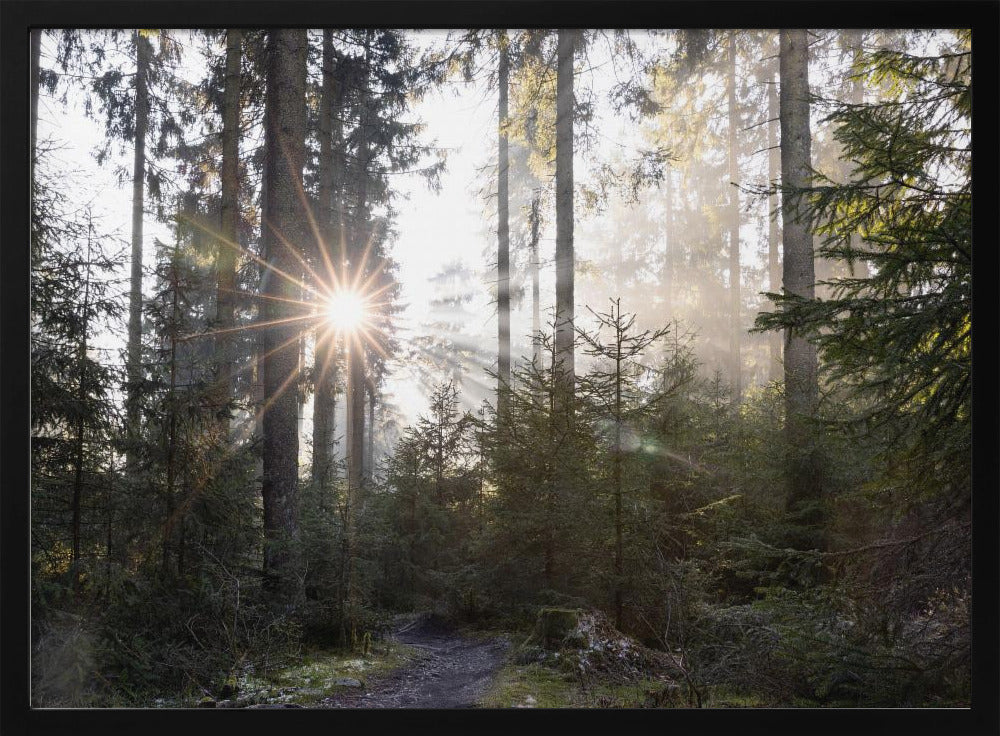 Hopeful Moments 2 | Poster