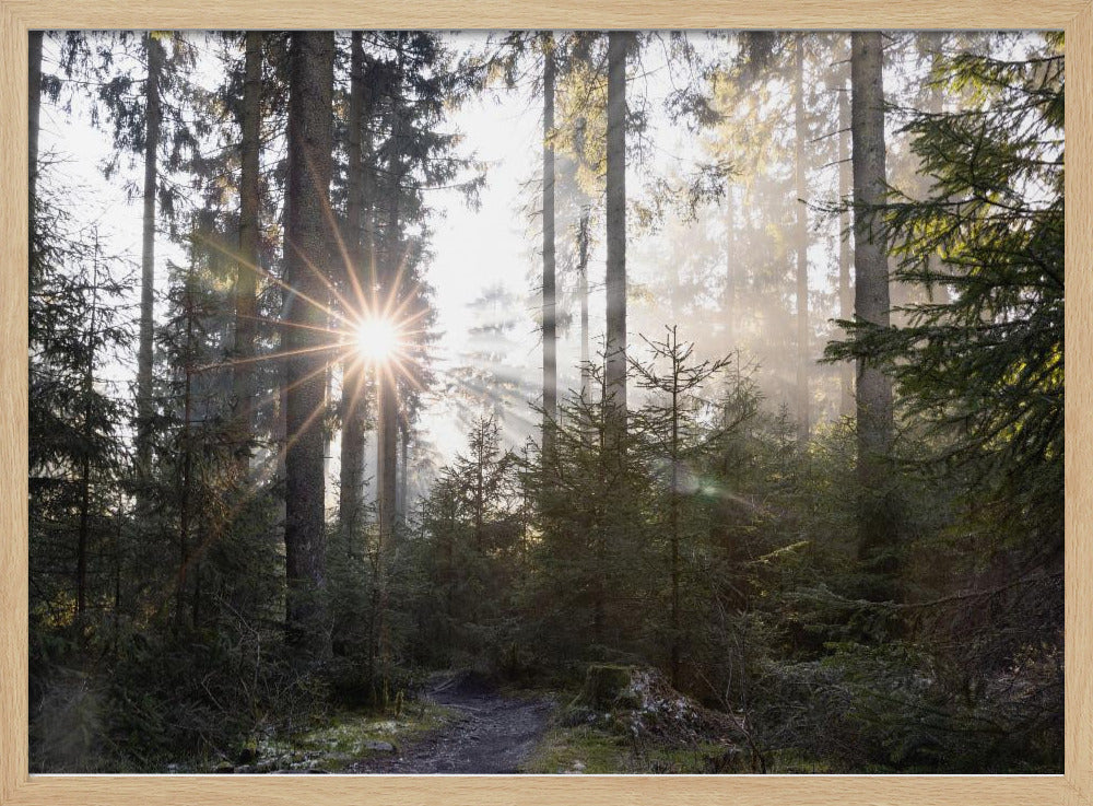 Hopeful Moments 2 | Poster