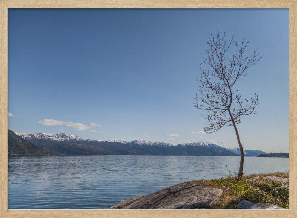 Somewhere In Norway 3 | Poster