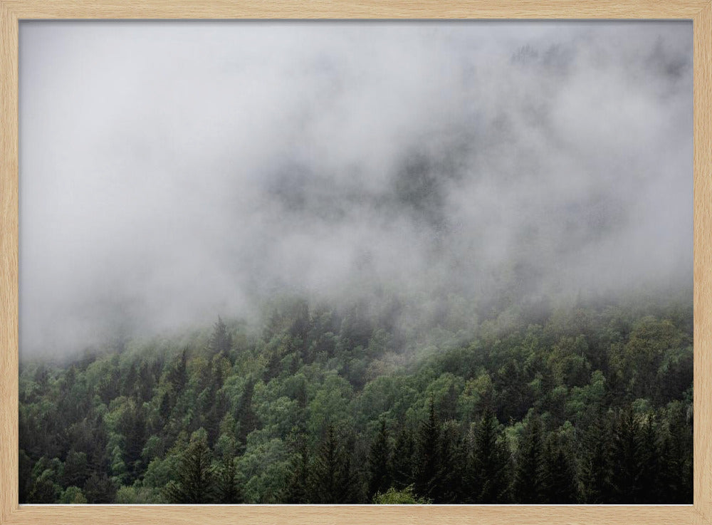 Somewhere In Norway 5 | Poster