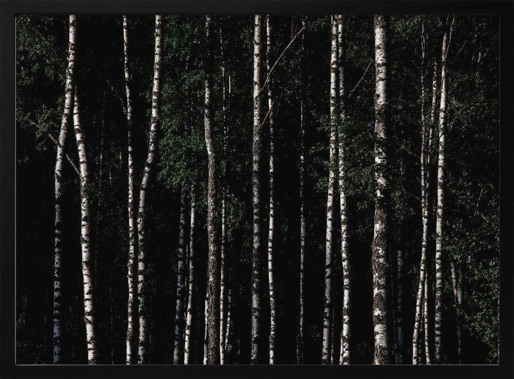 Somewhere In Sweden 4 | Poster