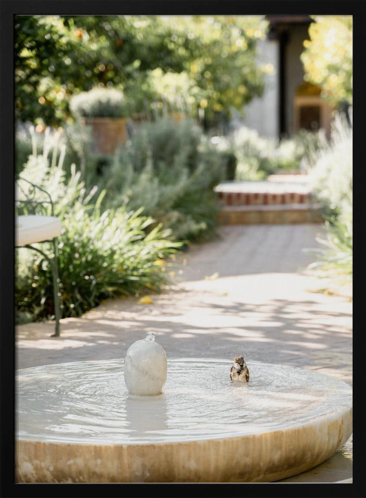 Feathers and Droplets | Poster