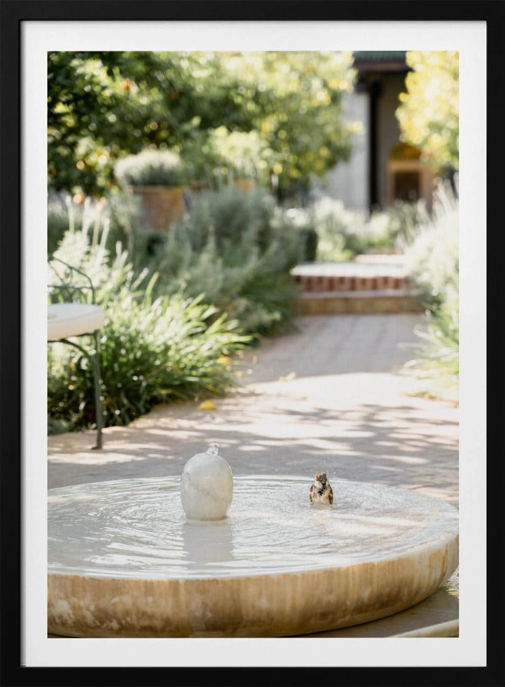 Feathers and Droplets | Poster