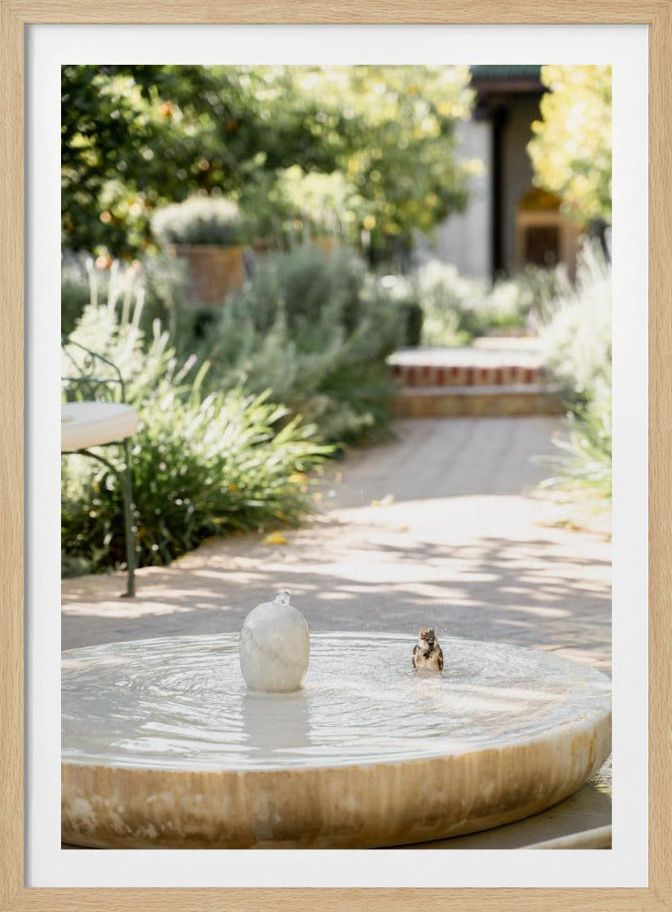 Feathers and Droplets | Poster