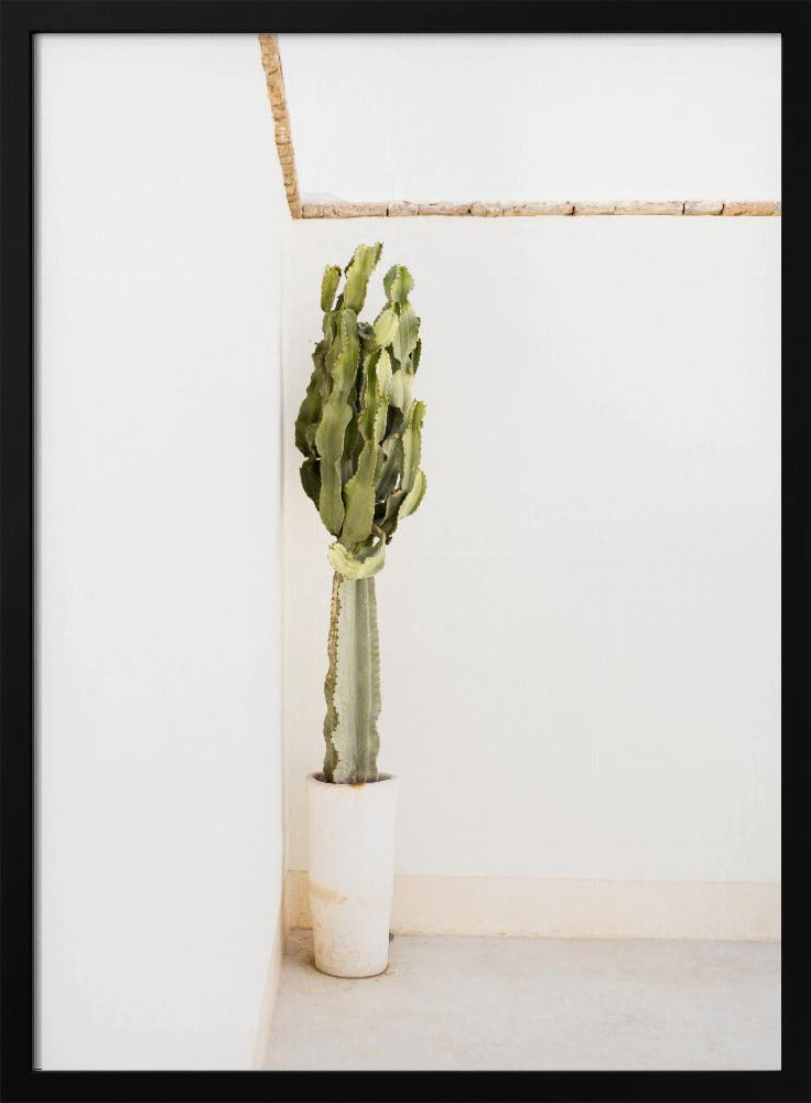 Bohemian Summer | Poster