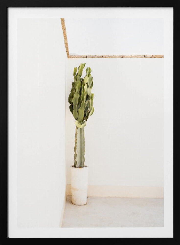 Bohemian Summer | Poster