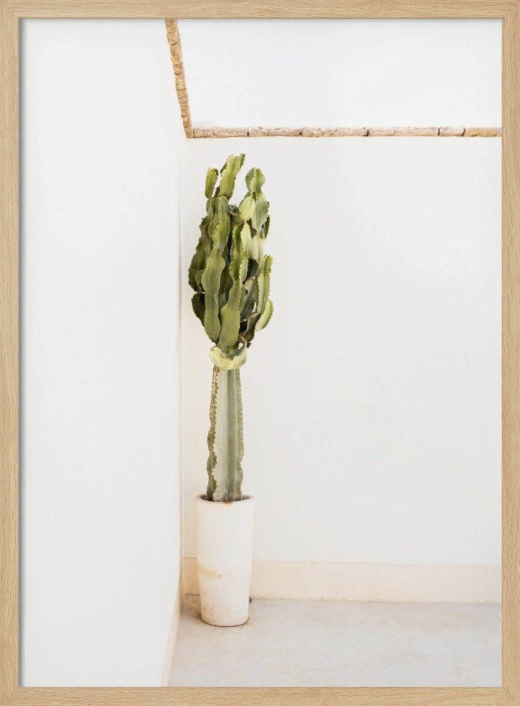 Bohemian Summer | Poster