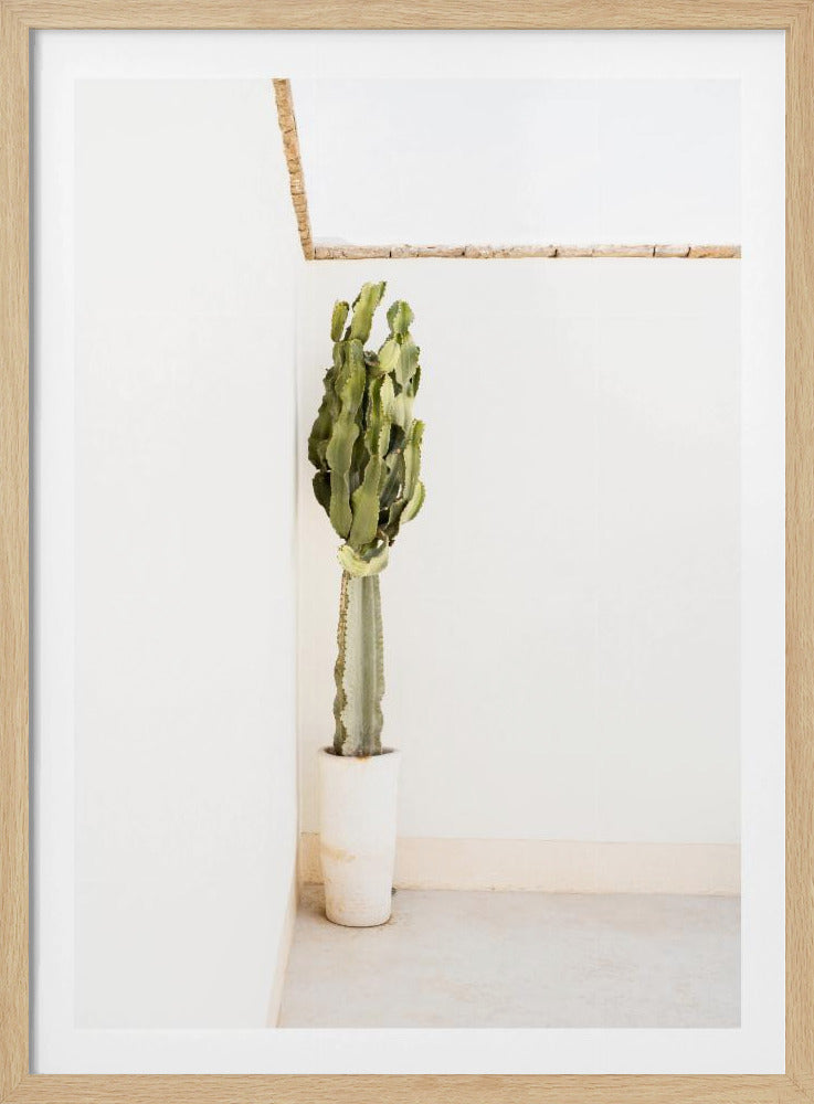 Bohemian Summer | Poster