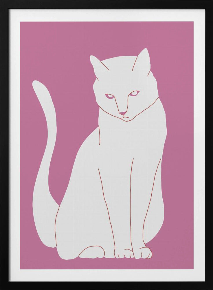 White and pink cat | Poster