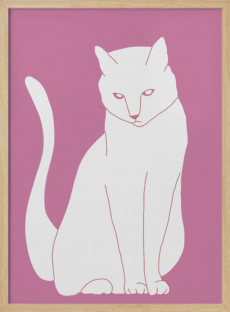 White and pink cat | Poster