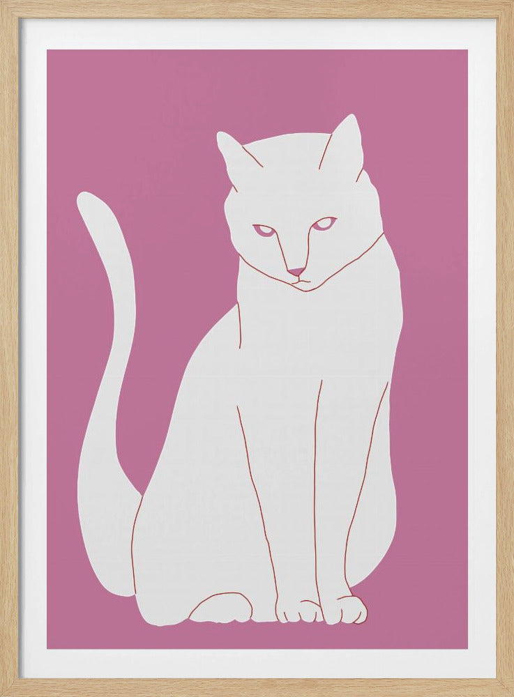 White and pink cat | Poster