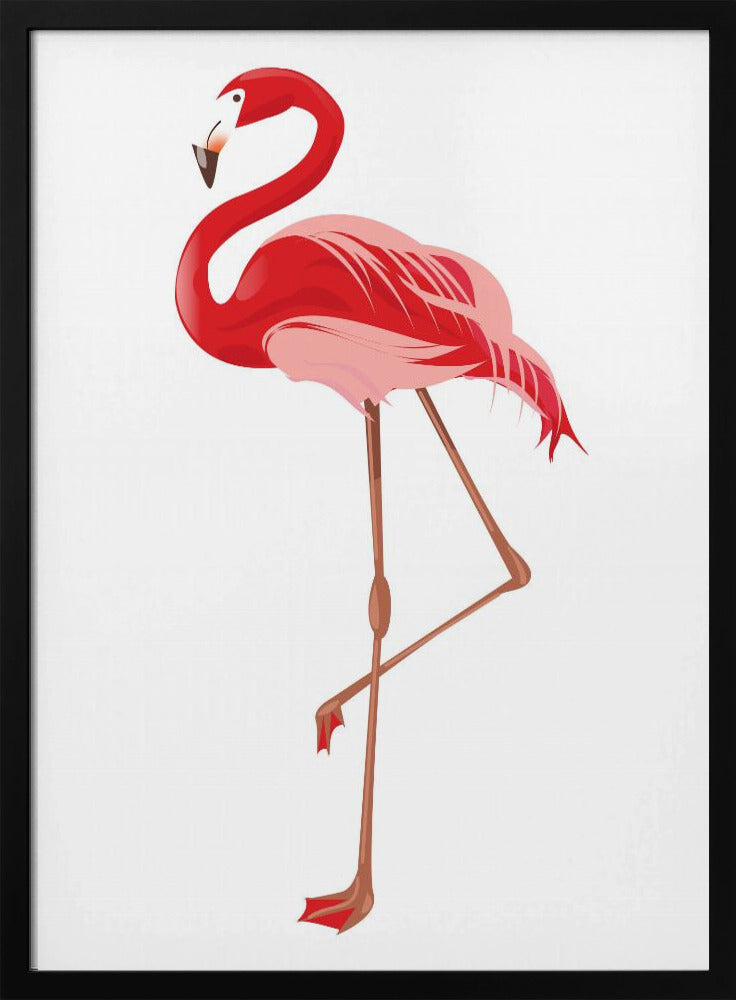 Flamingo | Poster