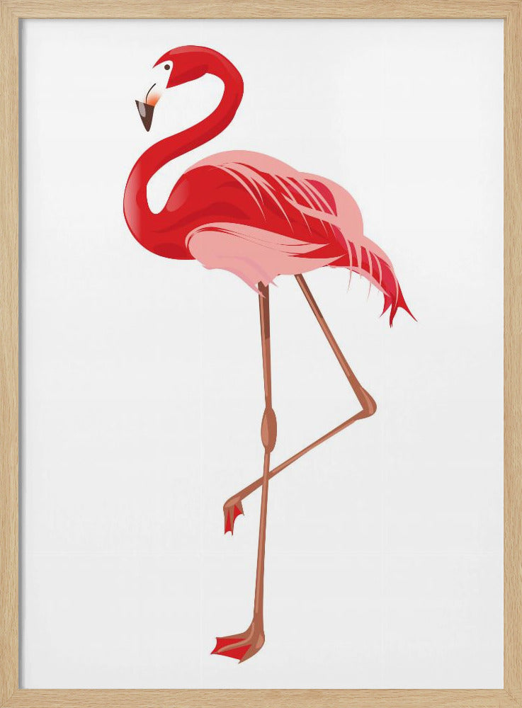 Flamingo | Poster