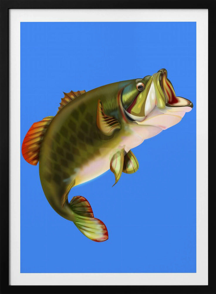 Bass Fish | Poster