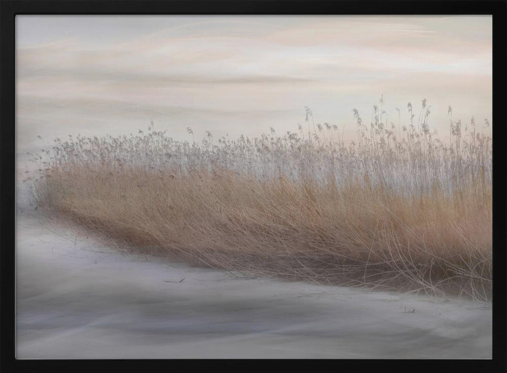 Winter Reed | Poster