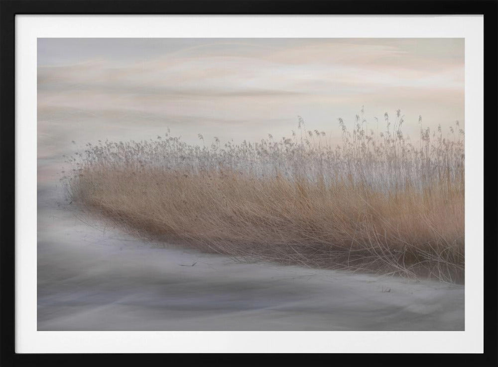 Winter Reed | Poster