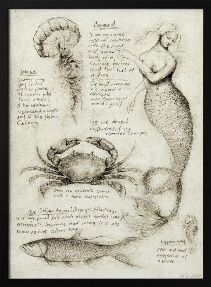 Mythical And Marine Creatures | Poster