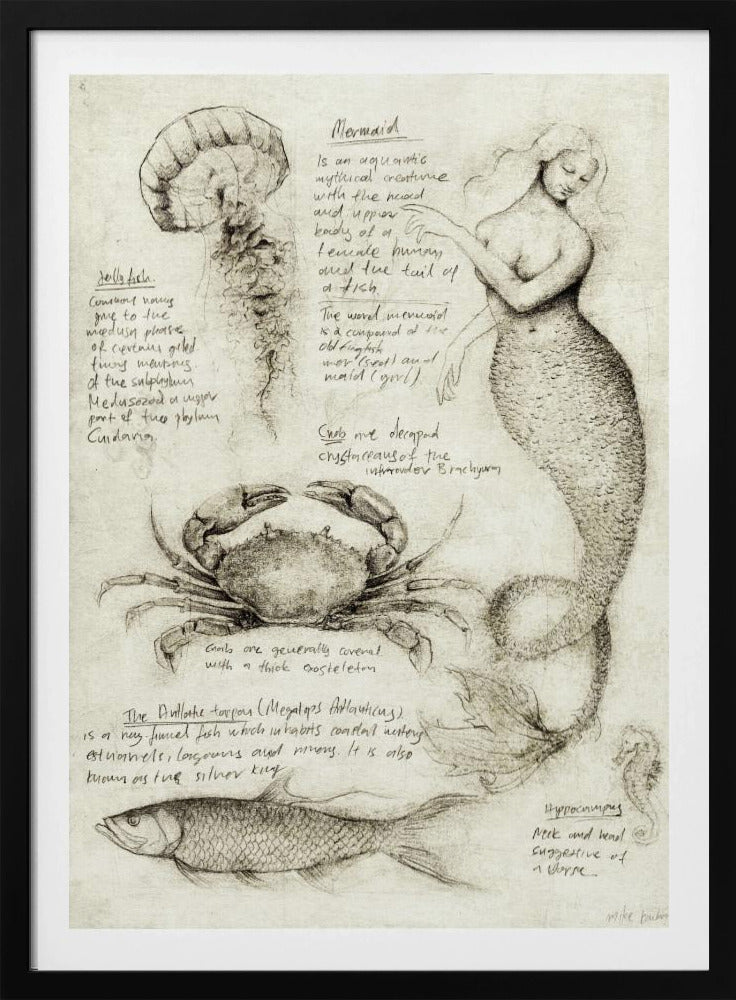Mythical And Marine Creatures | Poster