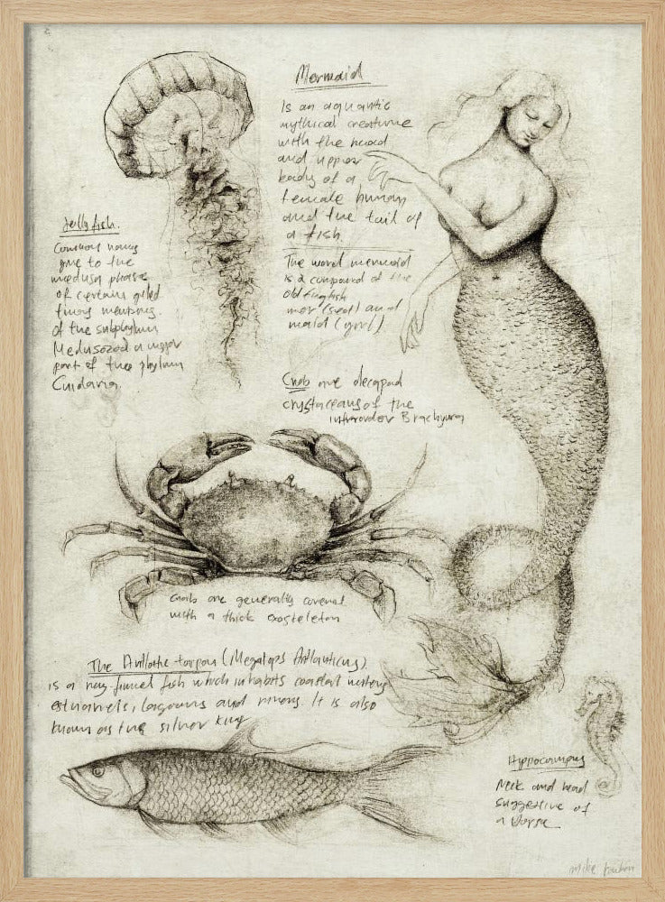 Mythical And Marine Creatures | Poster
