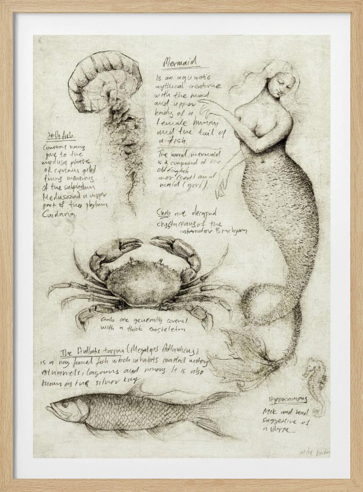 Mythical And Marine Creatures | Poster