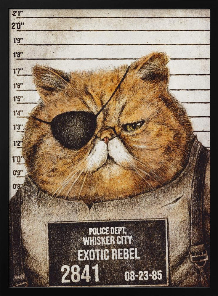 Funny Cat | Poster